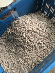 Grenen pellets